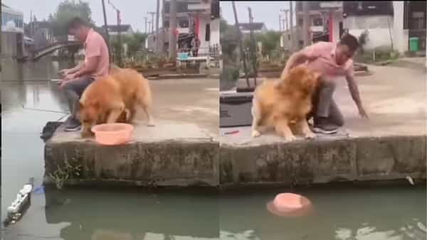 Viral Video: చేపను కాపాడిన కుక్క..! వీడియో చూస్తే ప్రశంసించకుండా ఉండలేరు..
