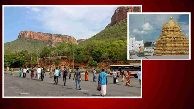 Tirumala Sarvadarshanam: తిరుమల కొండకు పోటెత్తిన భక్తజనం.. ప్రారంభమైన శ్రీవారి సర్వదర్శనం..