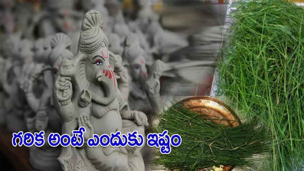 Ganesh Chaturthi: గరిక అంటే వినాయకుడికి ఎందుకు ఇష్టం..? గరిక లేనిది గణపతికి లోటేనట..! Ganesh Chaturthi: గరిక అంటే వినాయకుడికి ఎందుకు ఇష్టం..? గరిక లేనిది గణపతికి లోటేనట..!