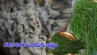 Vinayaka Chavithi: ముద్దులొలికే బాల వినాయకుడు.. కావాలంటే అంత ఈజీ కాదు.. ఎందుకో తెలుసుకోవాలంటే.. ఈ స్టోరీపై ఓ లుక్కేయండి!