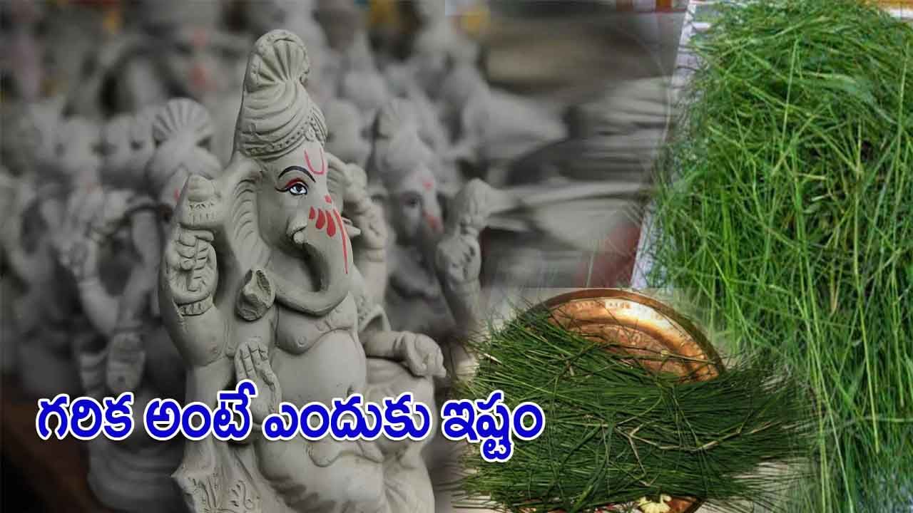 Ganesh Chaturthi: గరిక అంటే వినాయకుడికి ఎందుకు ఇష్టం..? గరిక లేనిది గణపతికి లోటేనట..!