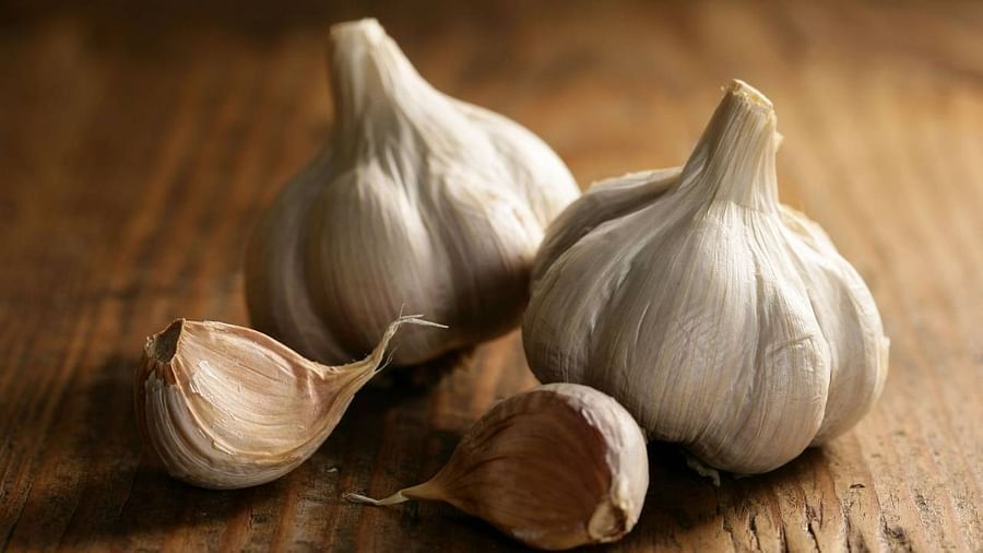 Garlic Farming: వెల్లుల్లి సాగుతో ఏడాదికి 10 లక్షల సంపాదన..! తక్కువ పెట్టుబడి ఎక్కువ రాబడి..