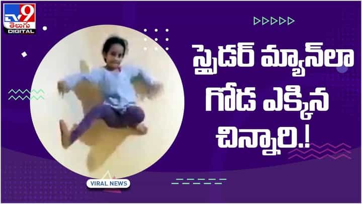 Viral Video: స్పైడర్ మ్యాన్లా గోడ ఎక్కిన చిన్నారి.! ఈ వీడియో చూస్తే షాకవ్వాల్సిందే.. వీడియో Viral Video: స్పైడర్ మ్యాన్లా గోడ ఎక్కిన చిన్నారి.! ఈ వీడియో చూస్తే షాకవ్వాల్సిందే.. వీడియో