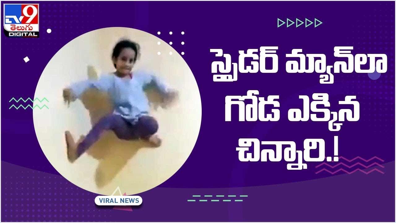 Viral Video: స్పైడర్‌ మ్యాన్‌లా గోడ ఎక్కిన చిన్నారి.! ఈ వీడియో చూస్తే షాకవ్వాల్సిందే.. వీడియో