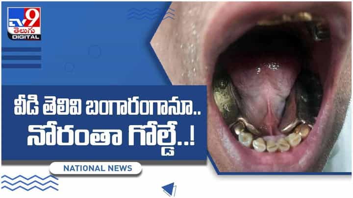 Viral Video: వీడి తెలివి బంగారంగానూ.. నోరంతా గోల్డే..! వీడియో Viral Video: వీడి తెలివి బంగారంగానూ.. నోరంతా గోల్డే..! వీడియో