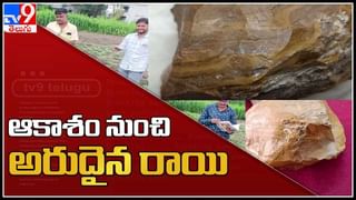 Viral Video: కింగ్ కోబ్రా, రాకాసి బల్లి మధ్య భీకర పోరాటం.. చివరికి ఏం జరిగిందో చూస్తే షాకవుతారు.!