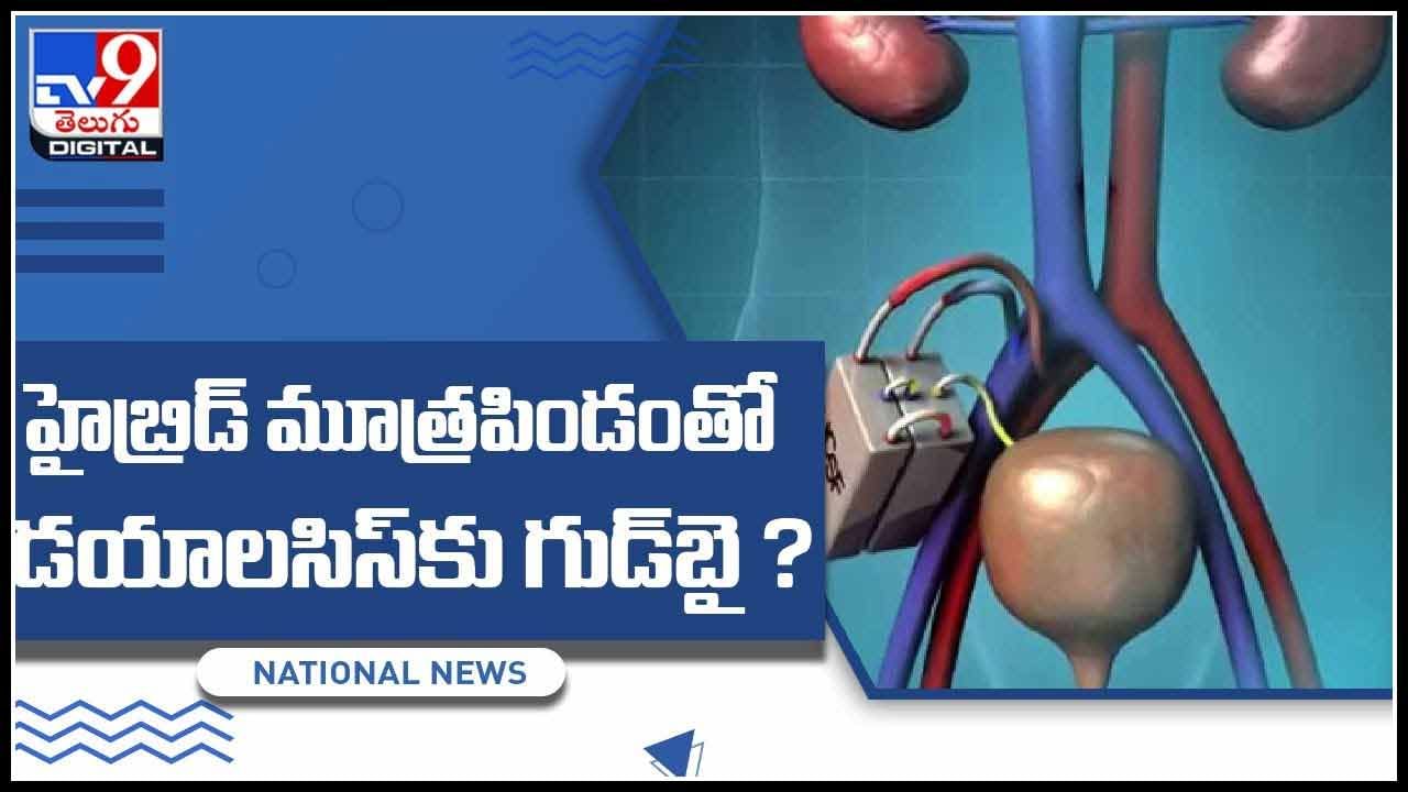 Hybrid Kidney Video: హైబ్రిడ్‌ మూత్రపిండంతో డయాలసిస్‌కు గుడ్‌బై..? కృత్రిమంగా కిడ్నీ తయారీ(వీడియో)