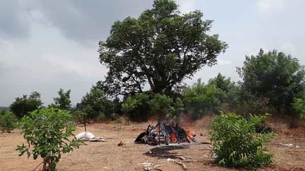 Telangana: ఆన్లైన్ ఎడ్యుకేషన్ సెంటర్గా మారిన స్మశానం.. బ్రతుకులు ముగిసే చోట అతడు జీవితాన్ని వెతుక్కుంటున్నాడు
