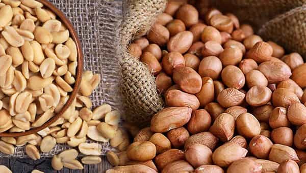 Ground Nut: వేరుశెనగతో ఈ వ్యాధికి చెక్ పెట్టొచ్చు.. రోజూ గుప్పెడు వేరుశెనగలు తినేయండి!