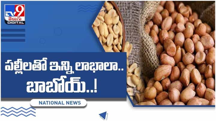 పల్లీలలతో గుండె వ్యాధులకు చెక్.. రోజూ వేరుశెనగలు తినమటున్న నిపుణలు.. వీడియో పల్లీలలతో గుండె వ్యాధులకు చెక్.. రోజూ వేరుశెనగలు తినమటున్న నిపుణలు.. వీడియో