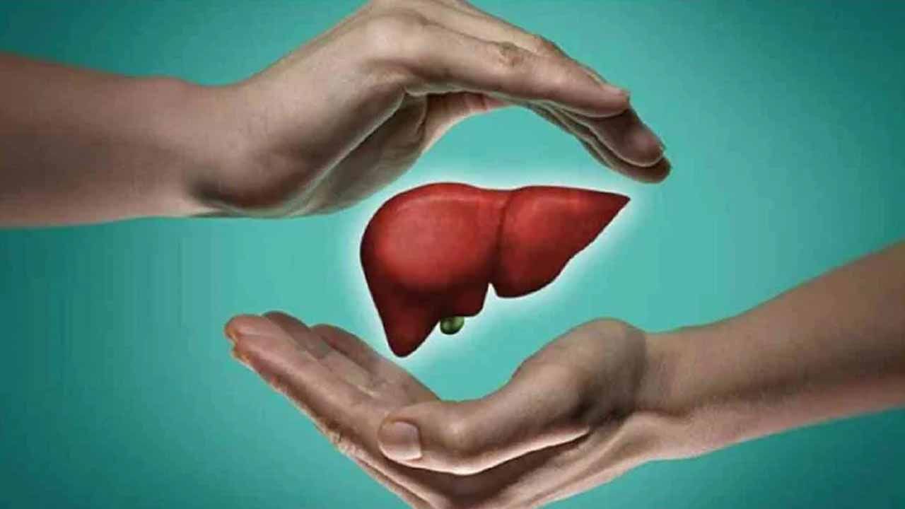 Healthy Liver Tips: ఇలాంటి పానీయాలు తీసుకుంటే.. లివర్‌ సమస్యలు మటుమాయం.. ఫిట్‌గా కూడా ఉండవచ్చు..