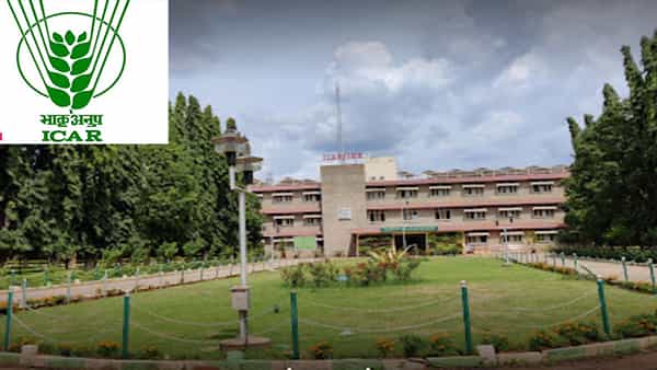 ICAR Recruitment: ఐకార్లో ఉద్యోగాల భర్తీకి నోటిఫికేషన్.. షార్ట్లిస్టింగ్, ఆన్లైన్ ఇంటర్వ్యూల ద్వారా ఎంపిక.
