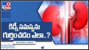 భారత్ లో అనూహ్యంగా పెరుగుతున్న కిడ్నీ సమస్య..! సమస్యను గుర్తించడం ఎలా..?(వీడియో): Kidney Problem