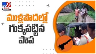 Crime News: నమ్మకంతో నట్టేట ముంచిన మహిళ.. చిట్టీ పేరుతో రూ.5.6 కోట్ల మేర కుచ్చుటోపీ..