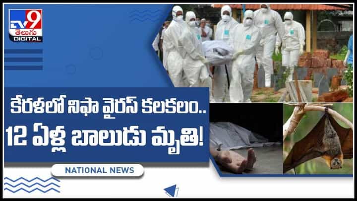 Nipah Virus Video: శరవేగంగా నిఫా.. కేరళలో నిఫా వైరస్ కలకలం.. 12 ఏళ్ల బాలుడు మృతి!(వీడియో) Nipah Virus Video: శరవేగంగా నిఫా.. కేరళలో నిఫా వైరస్ కలకలం.. 12 ఏళ్ల బాలుడు మృతి!(వీడియో)