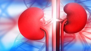Kidney Problem: కిడ్నీ సమస్యను గుర్తించడం ఎలా..? ఎలాంటి జాగ్రత్తలు తీసుకుంటే మంచిది..!
