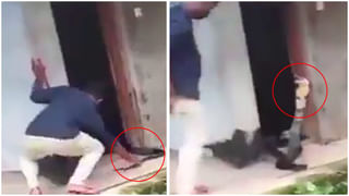 Watch Video: సొరంగంలో విమానం నడిపాడు.. గిన్నిస్‌ రికార్డు సొంతం చేసుకున్నాడు. వీడియో చూస్తే షాక్‌ అవ్వాల్సిందే.