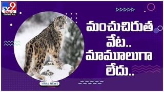 Viral Video: హైటెన్షన్‌ వైర్‌కు చిక్కి విలవిలలాడిన పక్షి.. హెలికాఫ్టర్‌తో రంగంలోకి దిగిన రెస్క్యూ టీమ్.. వీడియో