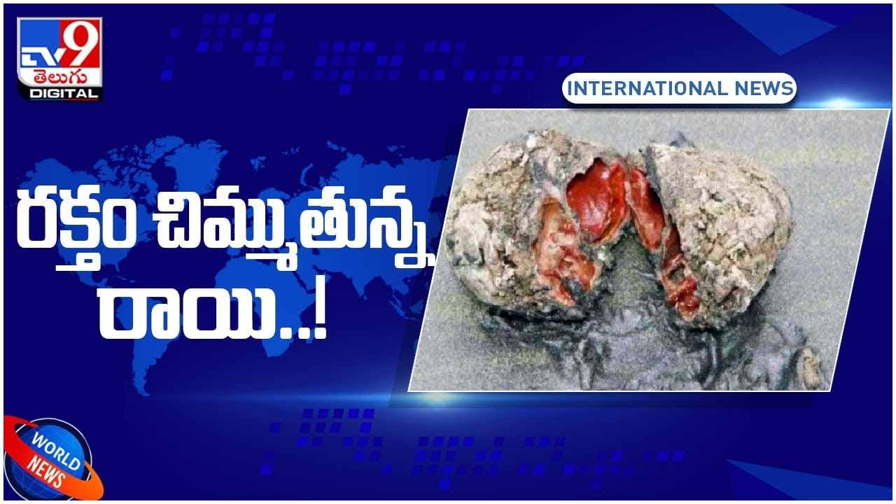 Viral Video: రక్తం చిమ్ముతున్న రాయి.. అసలు విషయం తెలిస్తే షాక్‌.. వీడియో