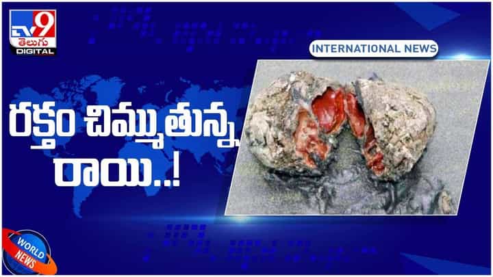 Viral Video: రక్తం చిమ్ముతున్న రాయి.. అసలు విషయం తెలిస్తే షాక్.. వీడియో Viral Video: రక్తం చిమ్ముతున్న రాయి.. అసలు విషయం తెలిస్తే షాక్.. వీడియో