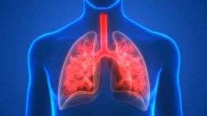 Lungs Health: మీ శరీరంలో ఈ లక్షణాలు కనిపిస్తున్నాయా? నిర్లక్ష్యం చేశారో ప్రాణాలకే ముప్పు..