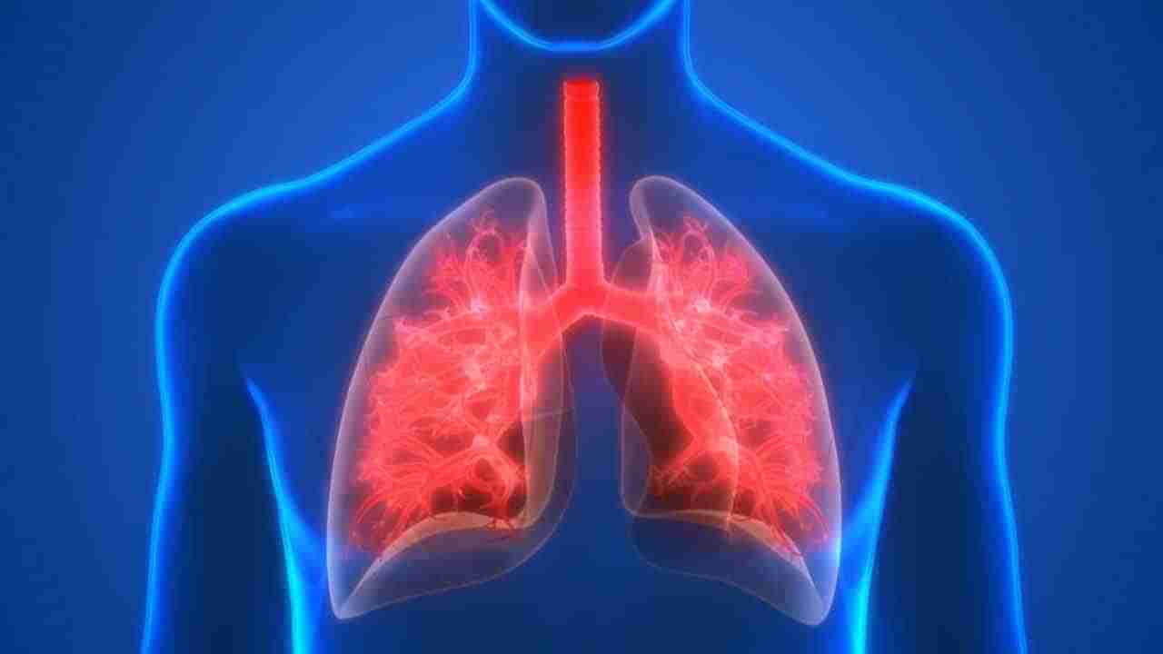 Lungs Health: మీ శరీరంలో ఈ లక్షణాలు కనిపిస్తున్నాయా? నిర్లక్ష్యం చేశారో ప్రాణాలకే ముప్పు..
