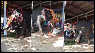 Viral Video: వామ్మో.. రాక్షస సుడిగాలి అంటే ఇదేనేమో.. ట్రక్కును కూడా ఎత్తిపడేసిందిగా..