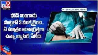 Viral Video: వీడియో తీయమని ఫోన్ ఇస్తే.. ఏనుగు ఏం చేసిందో చూశారా..? వీడియో