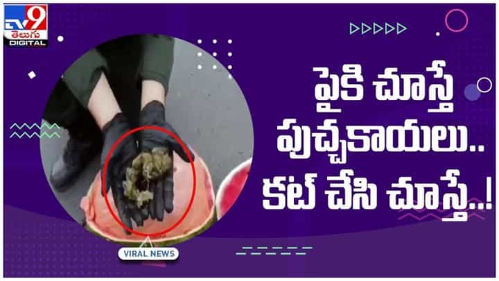 Viral Video: పైకి చూస్తే పుచ్చకాయలు.. కట్ చేసి లోపల చూస్తే షాక్ అవ్వాల్సిందే.. వీడియో Viral Video: పైకి చూస్తే పుచ్చకాయలు.. కట్ చేసి లోపల చూస్తే షాక్ అవ్వాల్సిందే.. వీడియో