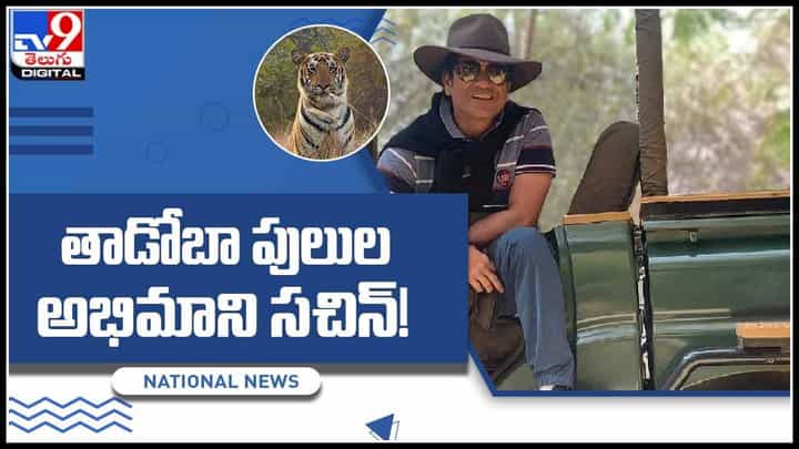 Sachin in tiger park Video: తాడోబా పులుల సఫారీ పర్యటనలో సచిన్..!సోషల్ మీడియాలో వైరల్ అవుతున్న వీడియో. Sachin in tiger park Video: తాడోబా పులుల సఫారీ పర్యటనలో సచిన్..!సోషల్ మీడియాలో వైరల్ అవుతున్న వీడియో.