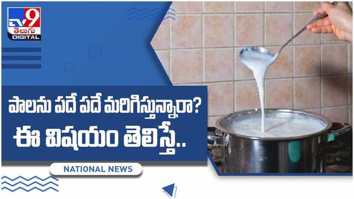 పాలను పదే పదే మరిగిస్తున్నారా.? ఈ విషయం తెలిస్తే ఇకపై ఆ పని చేయరు.. వీడియో పాలను పదే పదే మరిగిస్తున్నారా.? ఈ విషయం తెలిస్తే ఇకపై ఆ పని చేయరు.. వీడియో