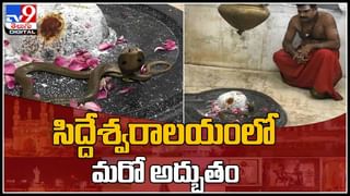 Oil Purify Test vide: మీరు వాడే నూనె స్వచ్ఛమైనదేనా.. తెలుసుకోండి ఇలా..!(వీడియో)