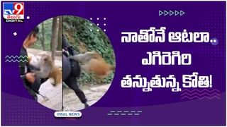 Viral Video: పుట్టినప్పటి నుంచి ఈ బిడ్డ ఏడవలేదు! ఆ తల్లి ఆవేదన అంతా ఇంతా కాదు..! వీడియో