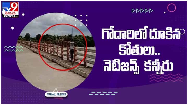 ఏదారి లేక గోదారిలో దూకిన వానరాలు.!! నెటిజన్స్ కన్నీరు.. వీడియో ఏదారి లేక గోదారిలో దూకిన వానరాలు.!! నెటిజన్స్ కన్నీరు.. వీడియో