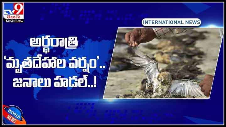 అర్థరాత్రి ‘మృతదేహాల వర్షం’.. జనాలు హడల్..!వీడియో వైరల్..: Rain of Corpses Video. అర్థరాత్రి ‘మృతదేహాల వర్షం’.. జనాలు హడల్..!వీడియో వైరల్..: Rain of Corpses Video.