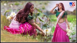 Monkey Revenge: విలన్‌గా మారిన కోతి.. రివేంజ్ తీర్చుకోవడానికి ఏకంగా 22 కిలోమీటర్లు ప్రయాణించింది..