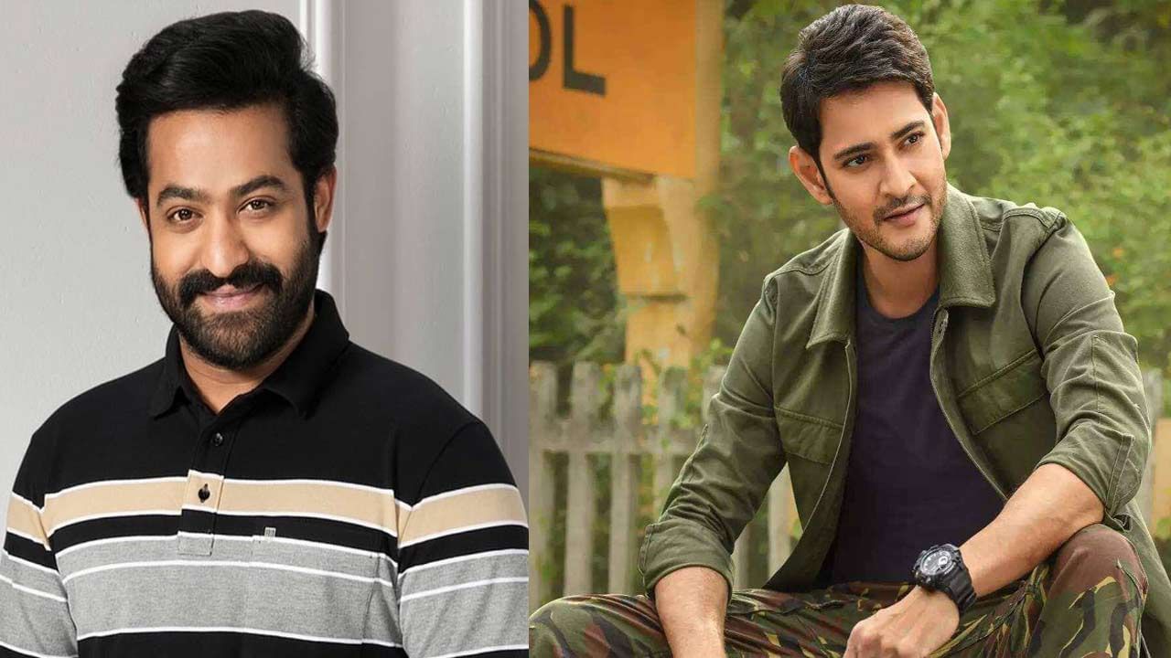 NTR: దసరాకు మహేష్‌ ఫ్యాన్స్‌కు అదిరిపోయే గిఫ్ట్‌ ఇవ్వనున్న ఎన్టీఆర్‌.. ఆ గిఫ్ట్‌ ఏంటో తెలుసా.?