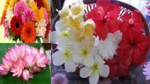 Pooja with Flowers: పనిలో విఘ్నాలు తొలగాలన్నా, సరస్వతి కటాక్షం కలగాలన్నా ఏ దేవుడిని, ఏ పువ్వులతో పూజించాలంటే