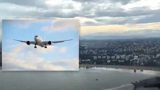 Viral Video: అంతా రివర్సులో జరిగింది.. కుక్కను కాపాడటానికి పిల్లి.. ఈ వీడియోను చూస్తే మీరు షాక్‌ అవుతారు