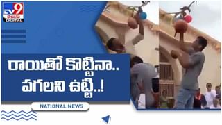 Viral Video: తల్లి బిడ్డకు తినిపిస్తున్నట్లుగా .. ఏనుగుకు గోరు ముద్దలు.. వీడియో