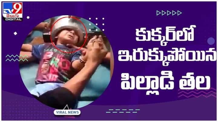 Viral Video: అయ్యో.. కుక్కర్లో ఇరుక్కుపోయిన చిన్నారి తల.. చివరికి ఏమైందంటే..! వీడియో Viral Video: అయ్యో.. కుక్కర్లో ఇరుక్కుపోయిన చిన్నారి తల.. చివరికి ఏమైందంటే..! వీడియో