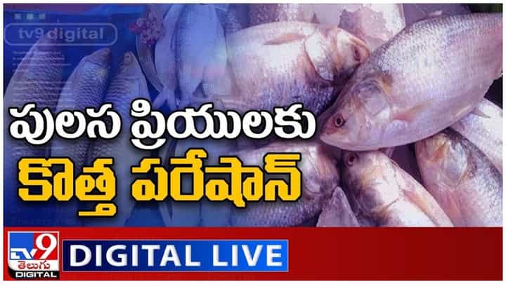 Pulasa Lovers: పులస ప్రియులకు కొత్త పరేషాన్.. దొరకనంటున్న పులస.. లైవ్ వీడియో Pulasa Lovers: పులస ప్రియులకు కొత్త పరేషాన్.. దొరకనంటున్న పులస.. లైవ్ వీడియో