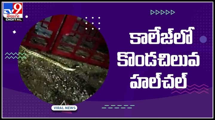 Snake Viral Video: వరంగల్ పాలిటెక్నిక్ కాలేజ్ లో కొండచిలువ హల్ చల్.. వైరల్ వీడియో Snake Viral Video: వరంగల్ పాలిటెక్నిక్ కాలేజ్ లో కొండచిలువ హల్ చల్.. వైరల్ వీడియో