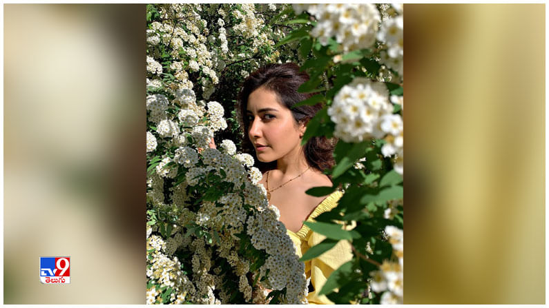 Raashi Khanna New Photos. Credit by:Raashi Khanna/Instagram