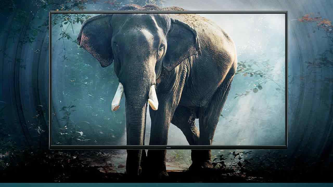 Redmi Smart TV: రెడ్‌ మీ నుంచి రెండు స్మార్ట్ టీవీలు విడుదల.. అద్భుతమైన ఫీచర్లు.. ధర కూడా తక్కువే..?