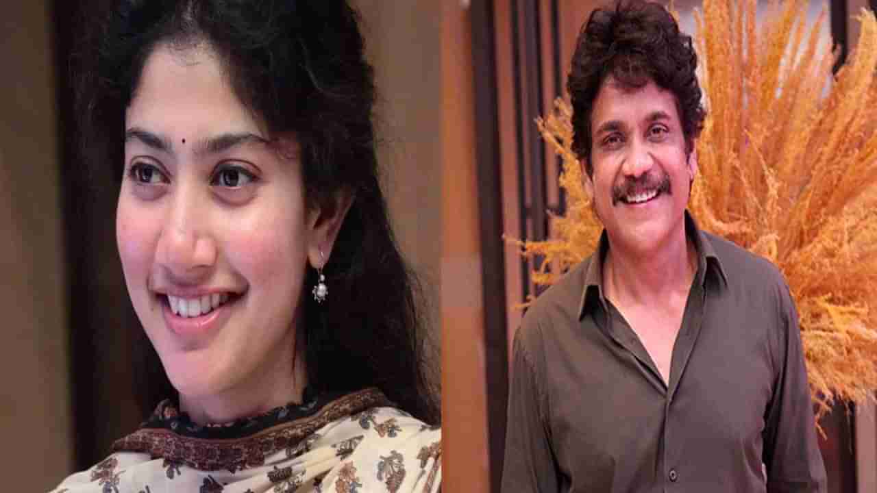 Sai Pallavi: నాగార్జున గురించి తాతయ్య చెప్పిన మాటలకు షాకయ్యాను.. ఆసక్తికర విషయాలను చెప్పిన సాయి పల్లవి..