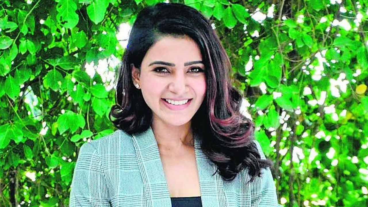 Samantha Akkineni : మరో వెబ్ సిరీస్‌కు సిద్ధం అవుతున్న సమంత.. ఎవరి డైరెక్షన్‌లో అంటే..