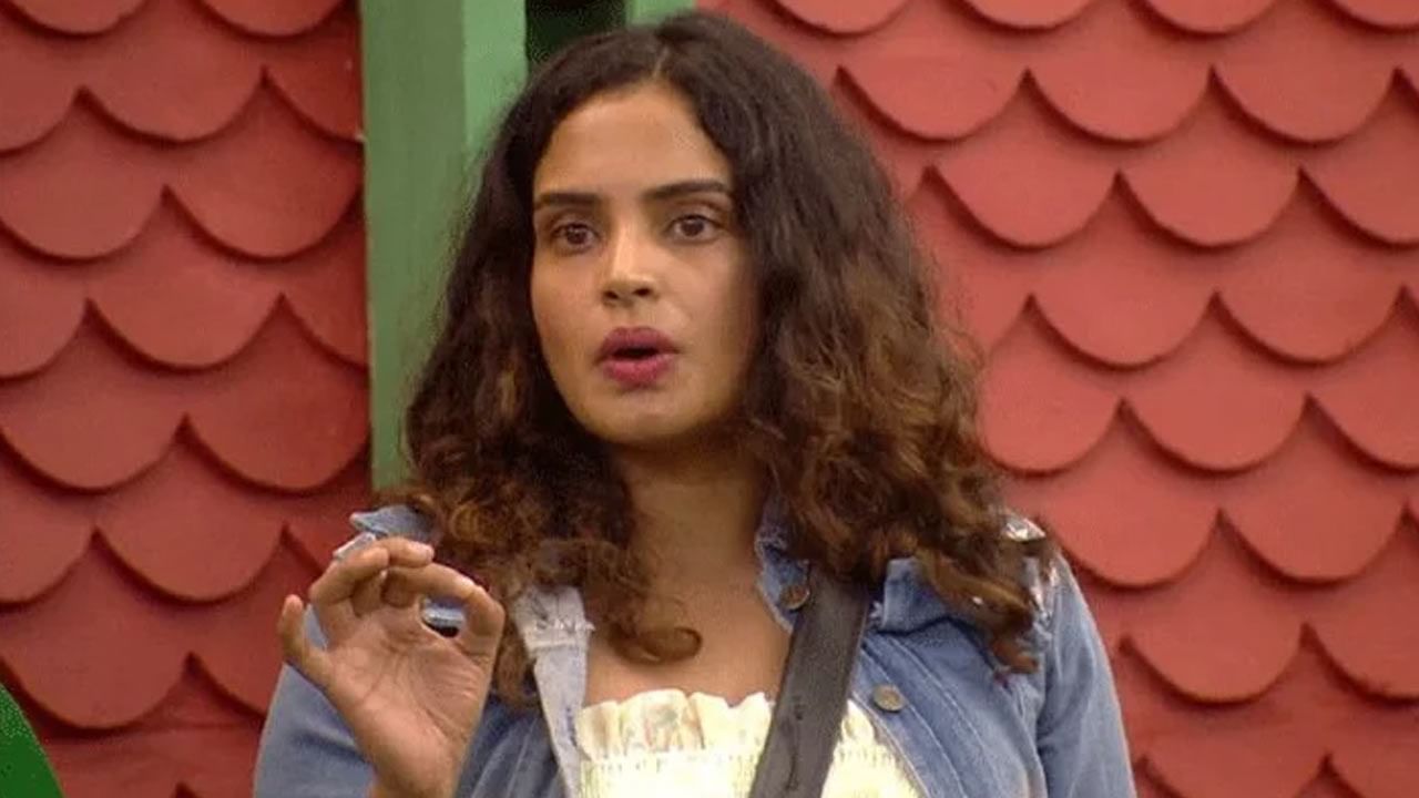 Bigg Boss 5 Telugu: బూతులు తిట్టమంటూ సరయుని కోరిన నాగ్.. ఇక అమ్మడు ఆగేనా..