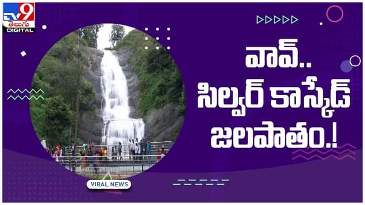Silver Cascade Falls: కనువిందు చేస్తున్న సిల్వర్ కాస్కేడ్ జలపాతం.. పోటెత్తిన పర్యాటకులు.. వీడియో Silver Cascade Falls: కనువిందు చేస్తున్న సిల్వర్ కాస్కేడ్ జలపాతం.. పోటెత్తిన పర్యాటకులు.. వీడియో