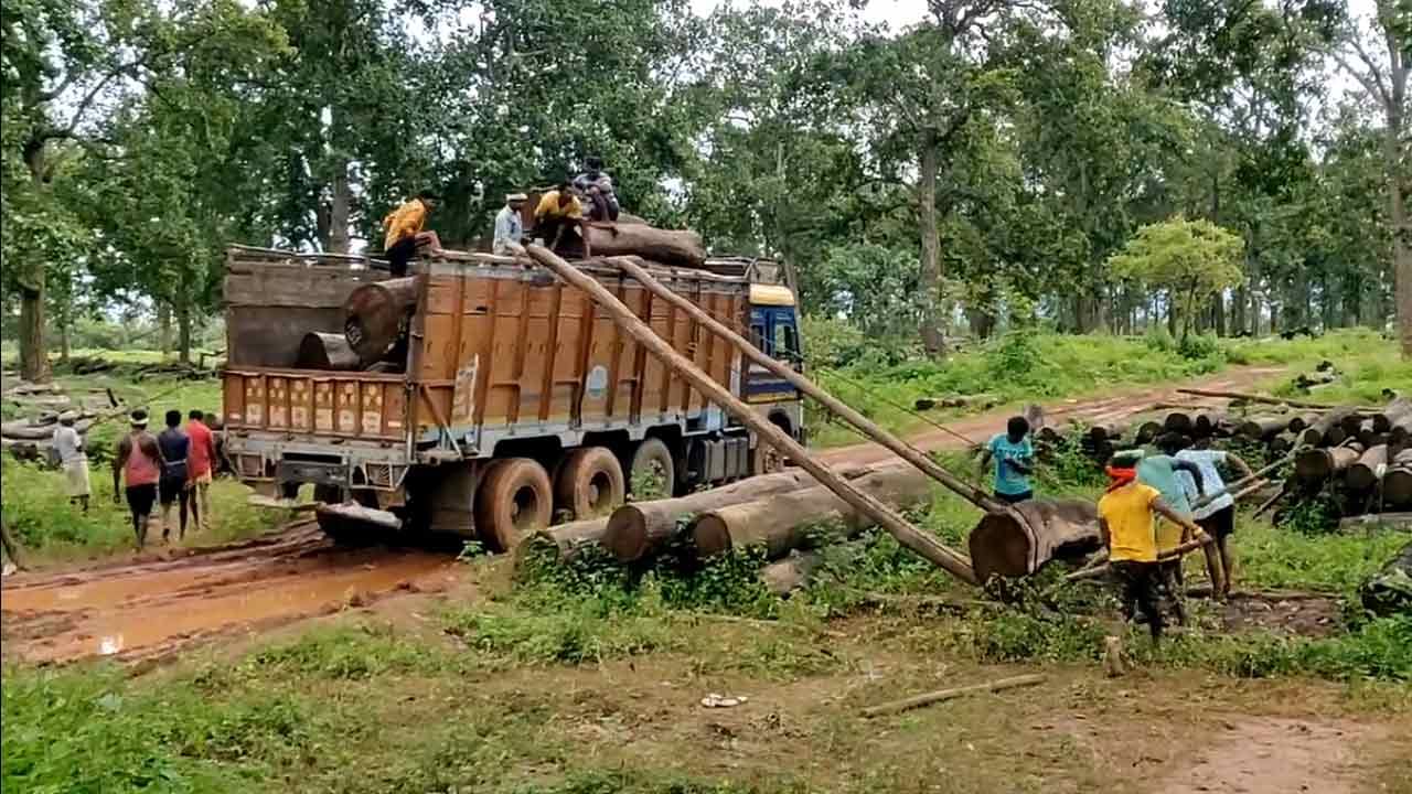 Hard Work vs Smart Work: స్మార్ట్‌ వర్క్‌ అంటే ఇదేమరీ!.. ఈ కూలీల పనితీరు చూస్తే అవాక్కవ్వాల్సిందే..